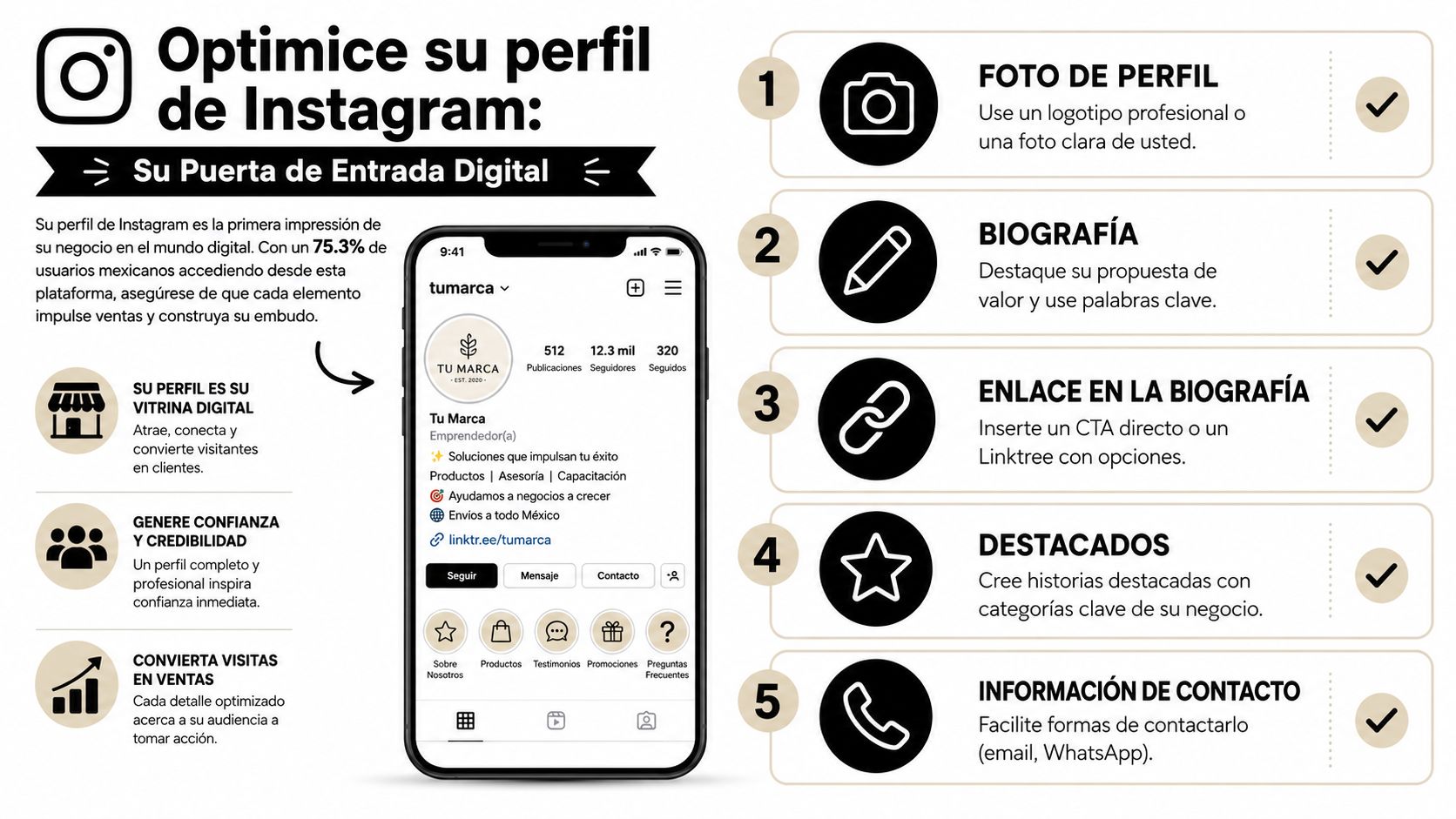 Infografía sobre cómo optimizar un perfil de Instagram profesional para negocios y aumentar las ventas digitales.